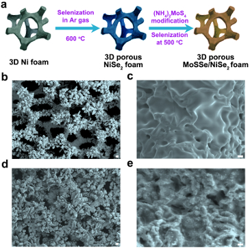 Hydrogen Evolution Hydrogen Evolution
